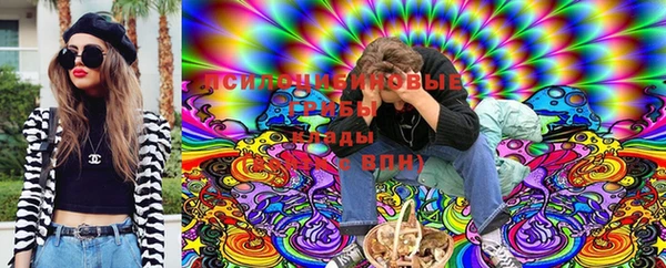 ПСИЛОЦИБИНОВЫЕ ГРИБЫ Балахна