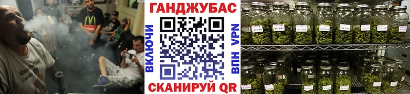 цены   Георгиевск  Марихуана сатива 